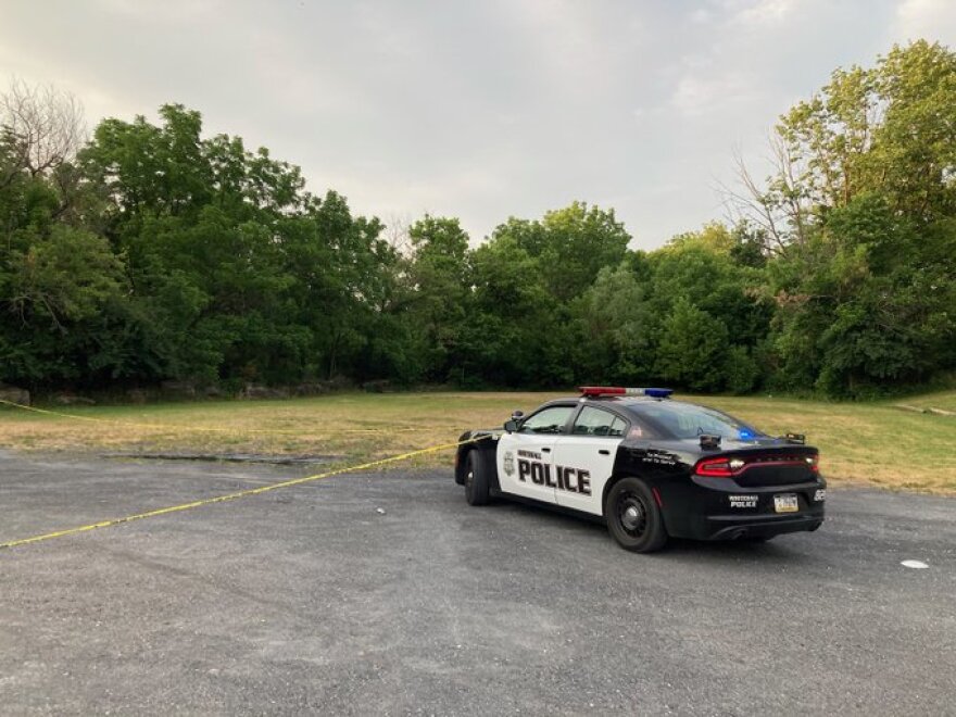 Whitehall Playground Shooting.jpg