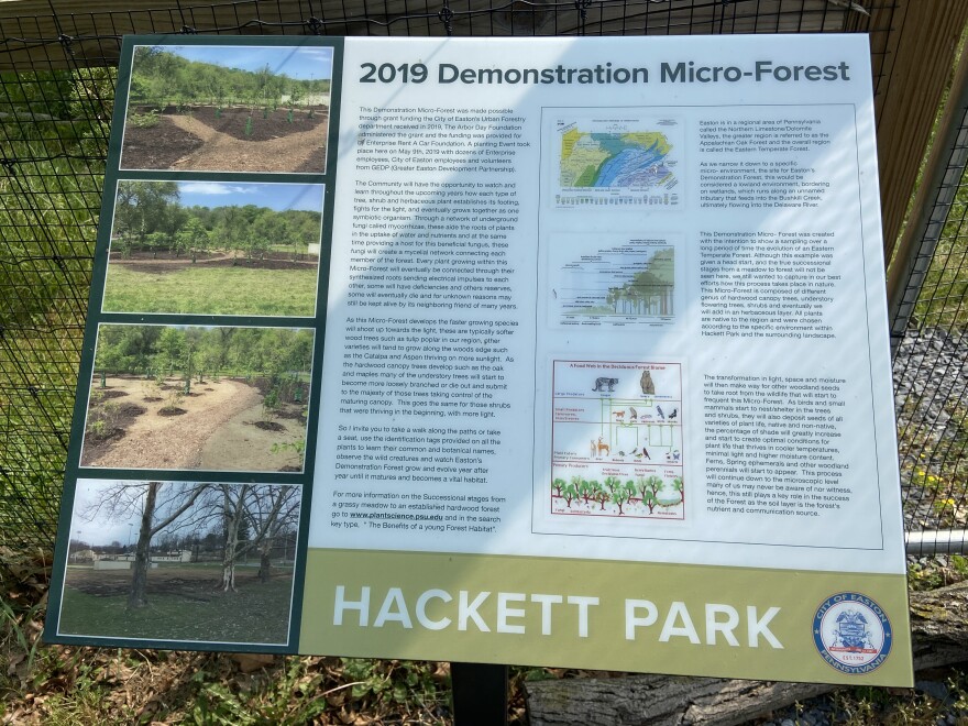 Easton's micro-forest
