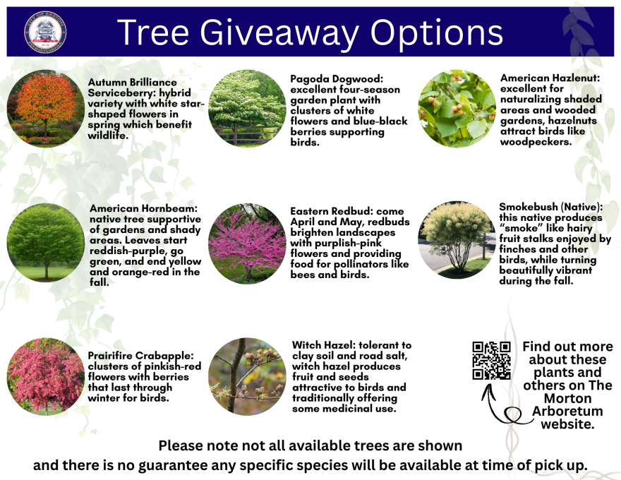 Tree Giveaway Options