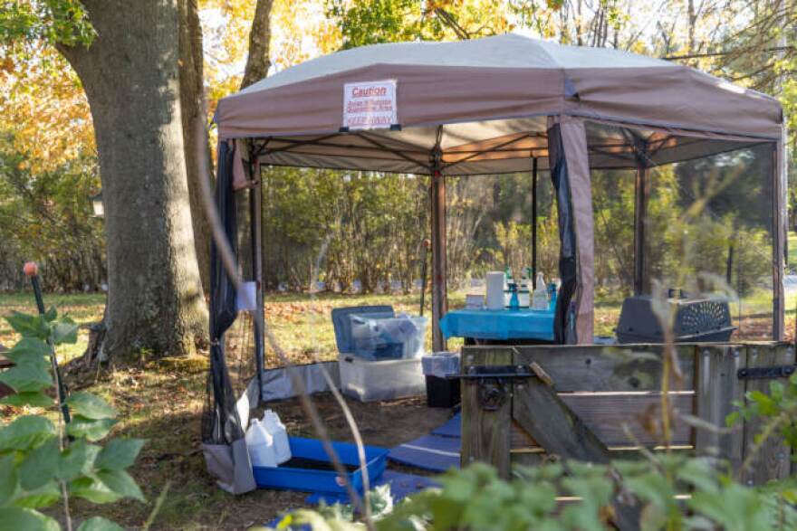 When a bird arrives at the Philadelphia Metro Wildlife Center they are immediately quarantined and tested for the avian flu.
