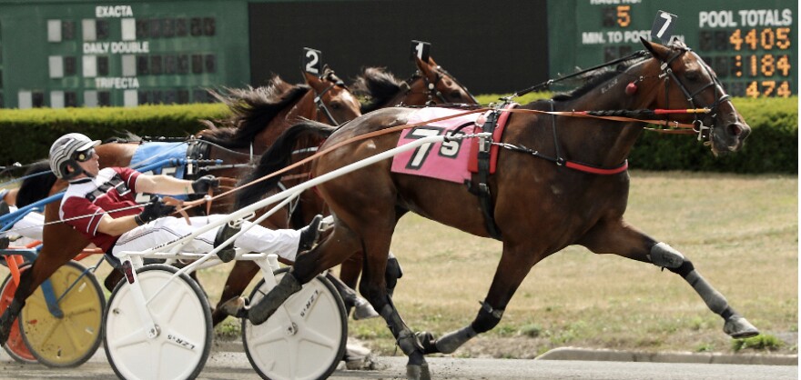 Anthony Beltrami on Dark Pool