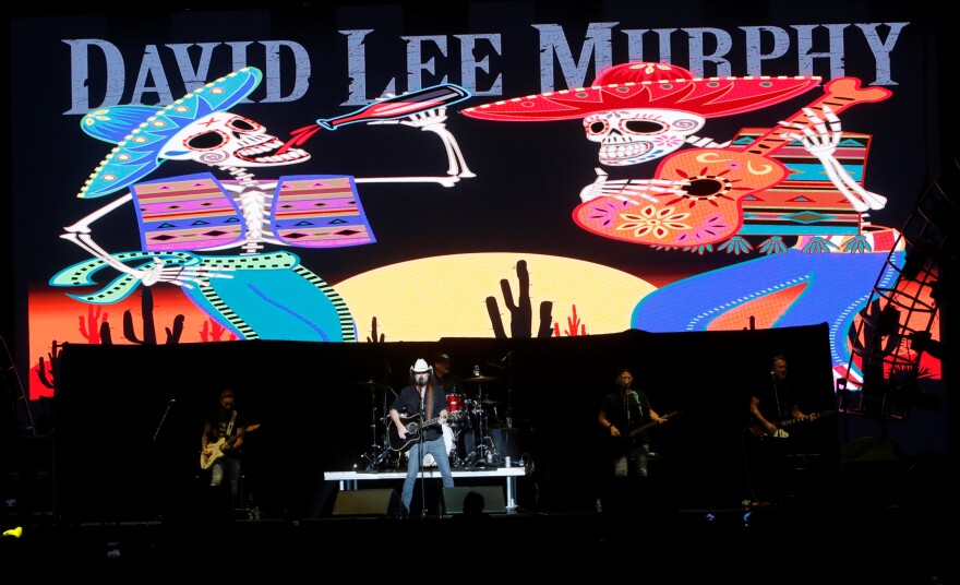 David Lee Murphy
