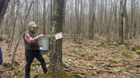 maple-tapping-monroe-county-6.jpg