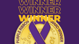DomesticShelters.org Award Posts.png