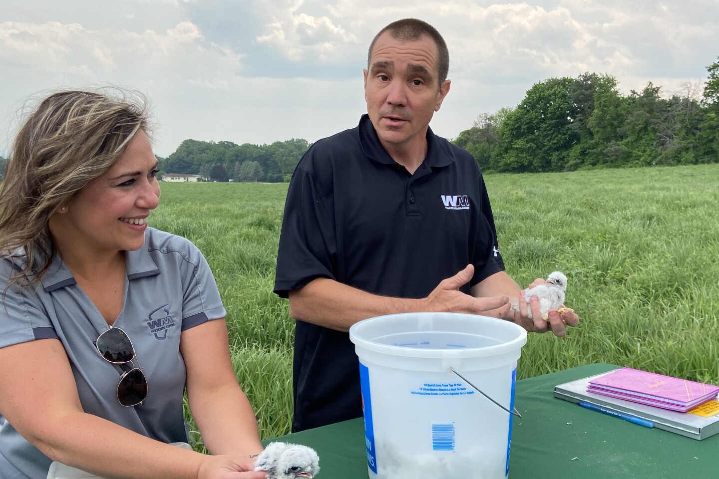 American kestrel banding at Grand Central Landfill