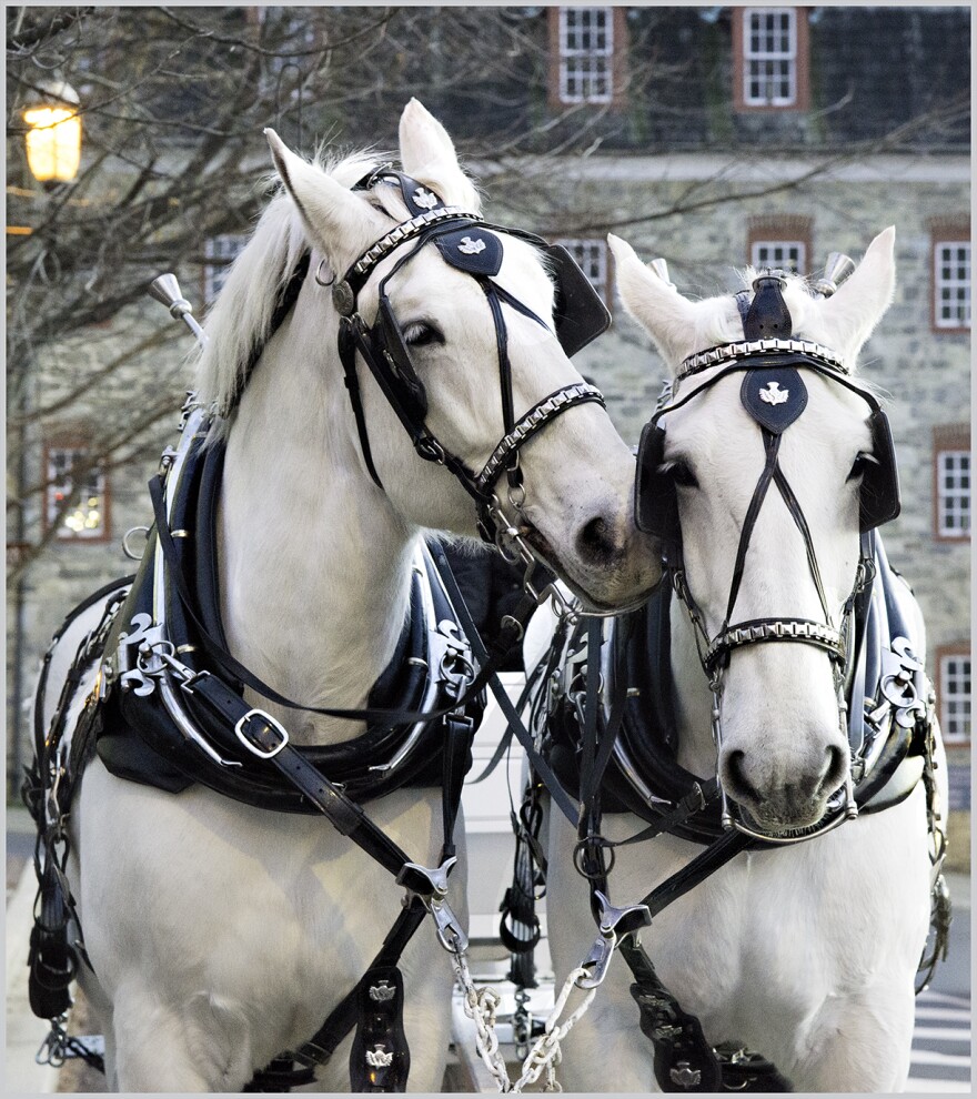 2015 Carriage Ride - Nancy Swolensky (2).jpg