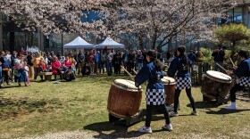 Three drummers with large wooden sticks beat on large, round wooden drums