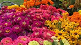 Bee Well Blooms CSA4.jpg