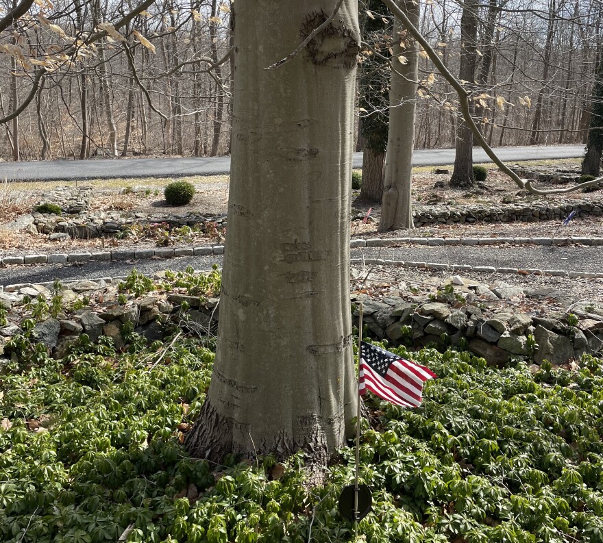 Seifert tree