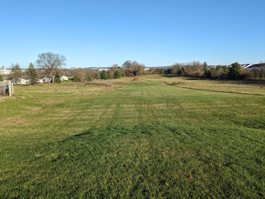 A smallish grassy field, bordered by trees, shrubs and a few houses.