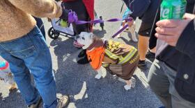 thumbnail_image000005-1.jpg