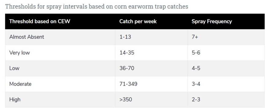 Corn earworm spray thresholds
