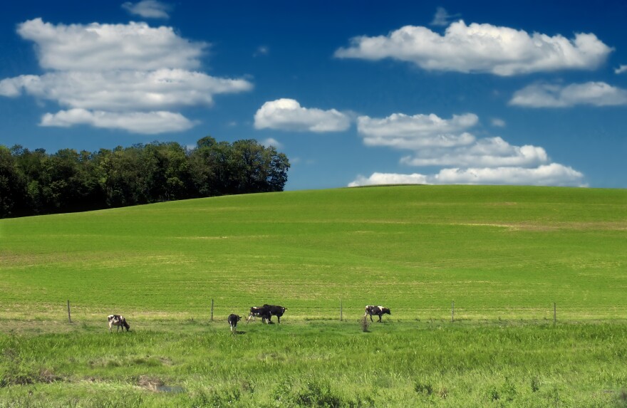 Farmland in Lower Macungie Township, Lehigh County