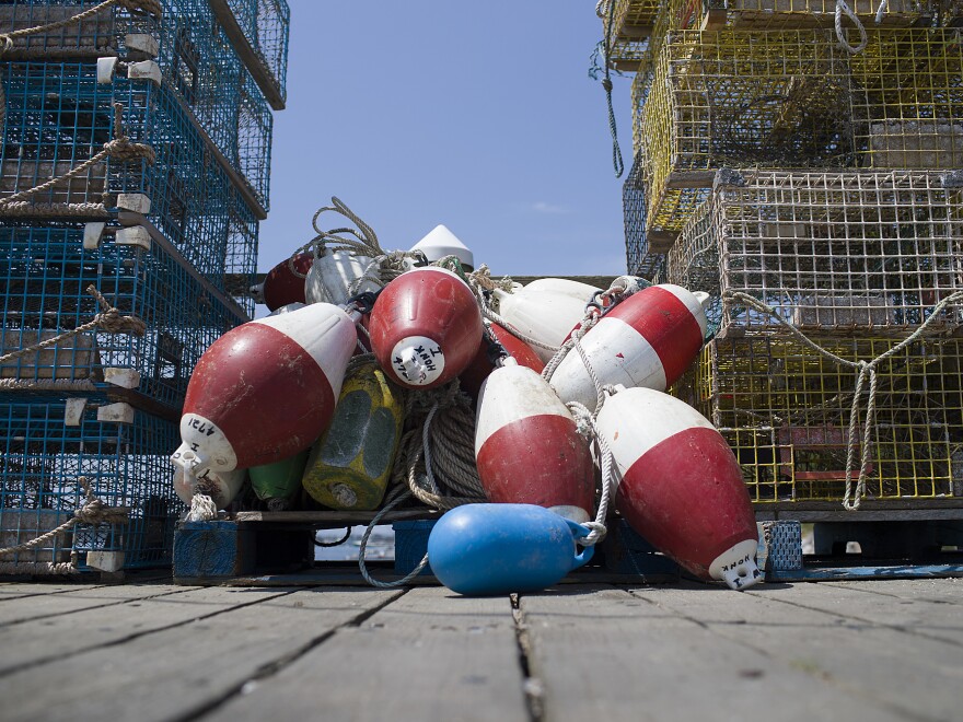 Maine is the largest lobster-producing state in the U.S. Some of the gear used to catch the crustaceans poses an entanglement risk to the endangered North American right whale population.