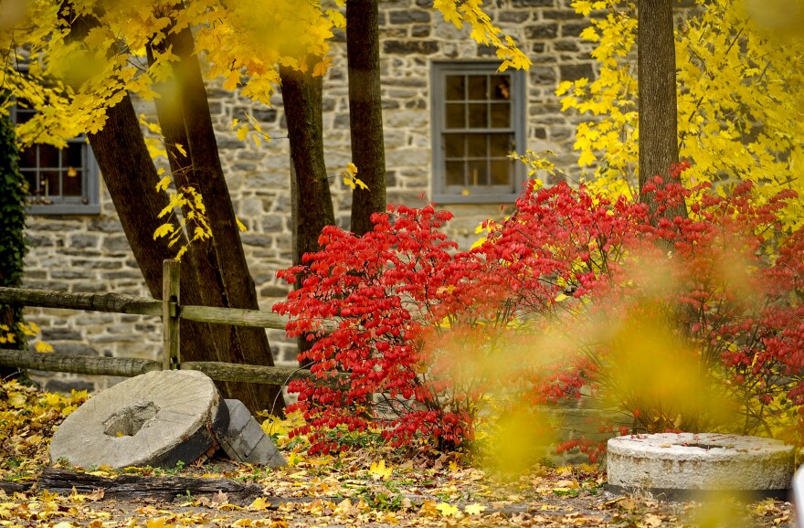 Helfrich Springs Grist Mill for fall foliage story