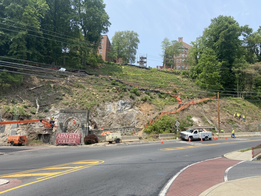 Lafayette College deforestation