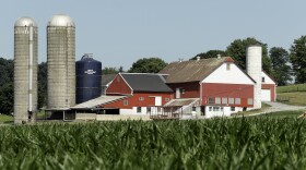 A field of corn is seen on a farm, Wednesday, July 11, 2018, Lancaster County, Pa. (AP Photo/Matt Slocum)