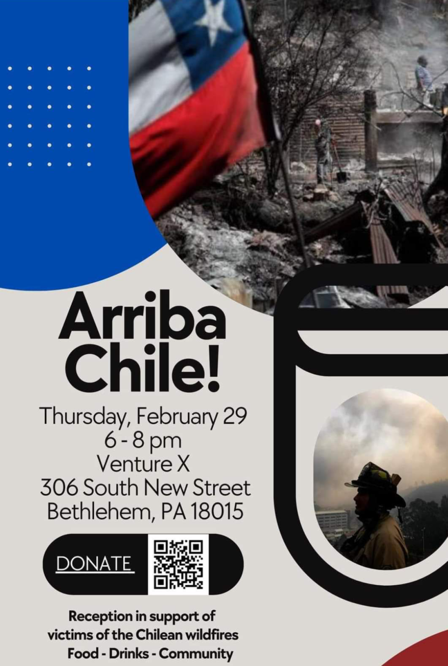 Chilean wildfires fundraiser