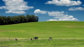 Farmland in Lower Macungie Township, Lehigh County