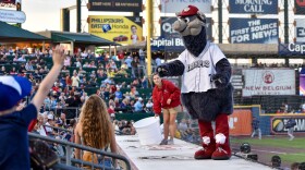 Ferrous-iron-pigs-mascot