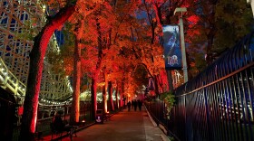 path in Dorney Park with trees and orange lighting