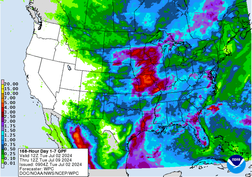 7-day QPF