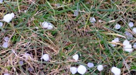 Graupel.jpg