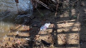 Plastic Pollution Little Bushkill Creek