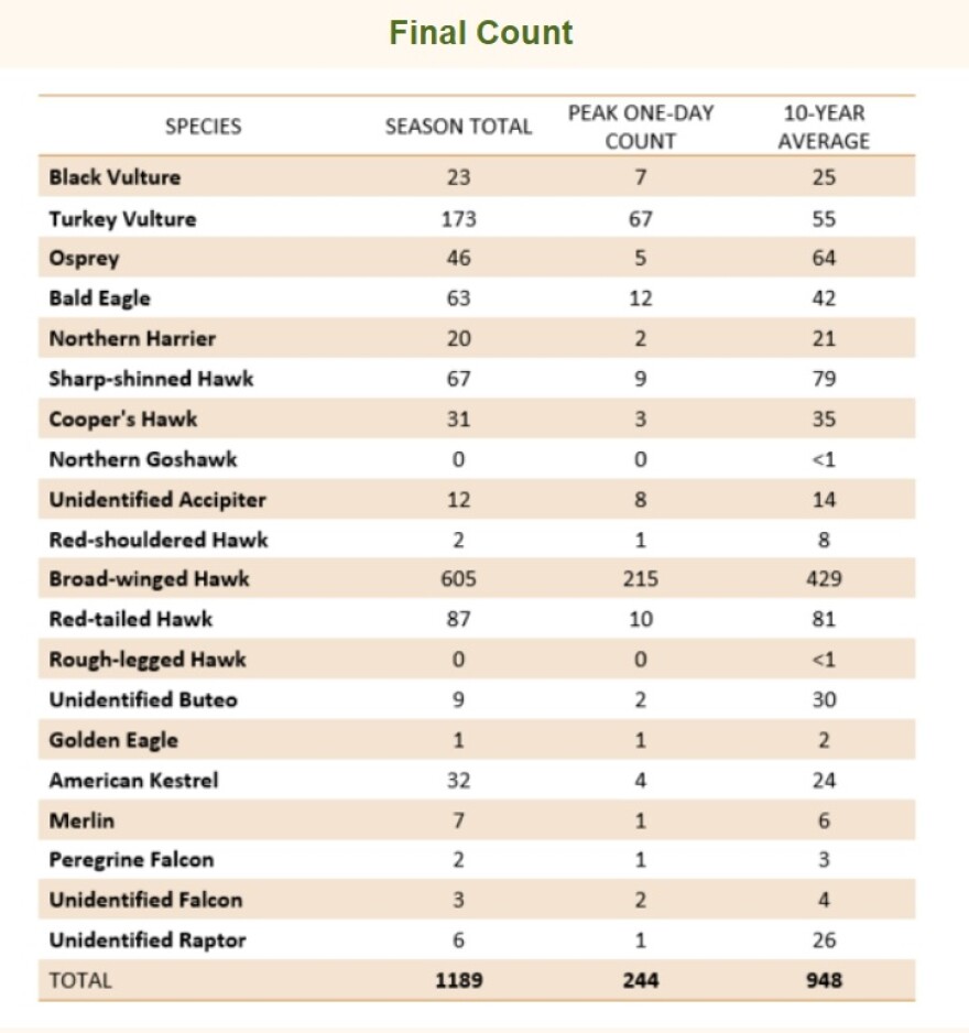 Hawk Mountain spring migration count