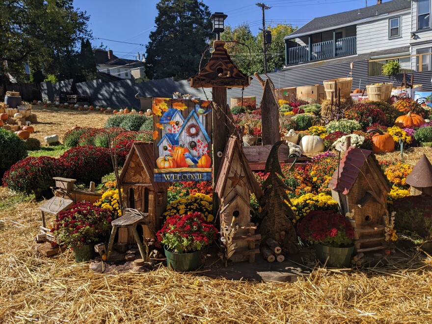 Pumpkins, mums and fall decorations sit on beds of hay at the Centennial Park in West Ward.jpg