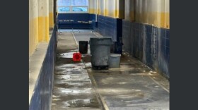 ASD pool leak
