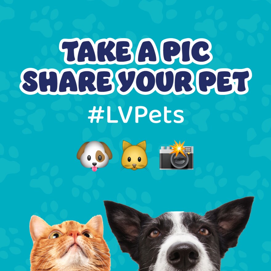 PetPage_1080x1080_2.jpg