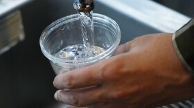Cup of water from faucet