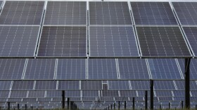 Solar panels in Detroit on Nov. 16, 2022.
