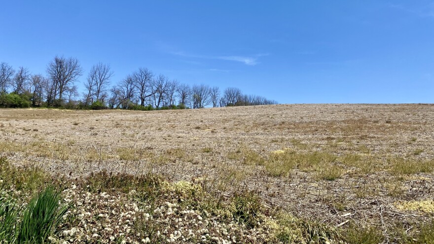 An open field in North Whitehall