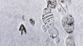 Footprints in shoes