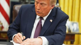 Immigration Birthright Citizenship