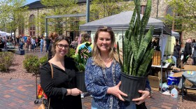 lehigh-valley-wicked-plant-fest1