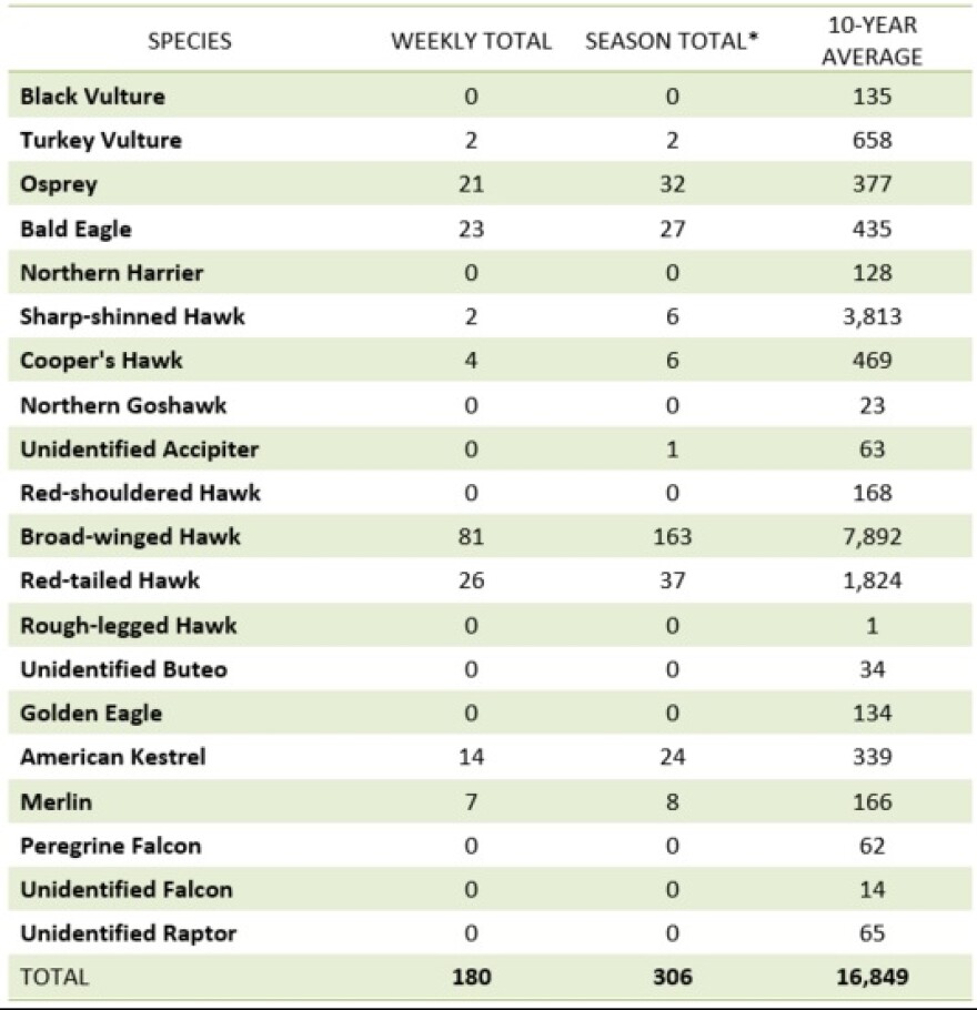 Hawk Mountain Autumn Raptor Count.jpg
