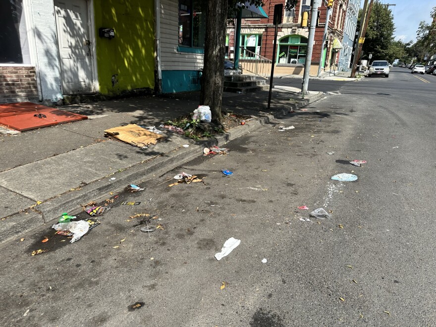 Community and The Arts Clean Up Kathy