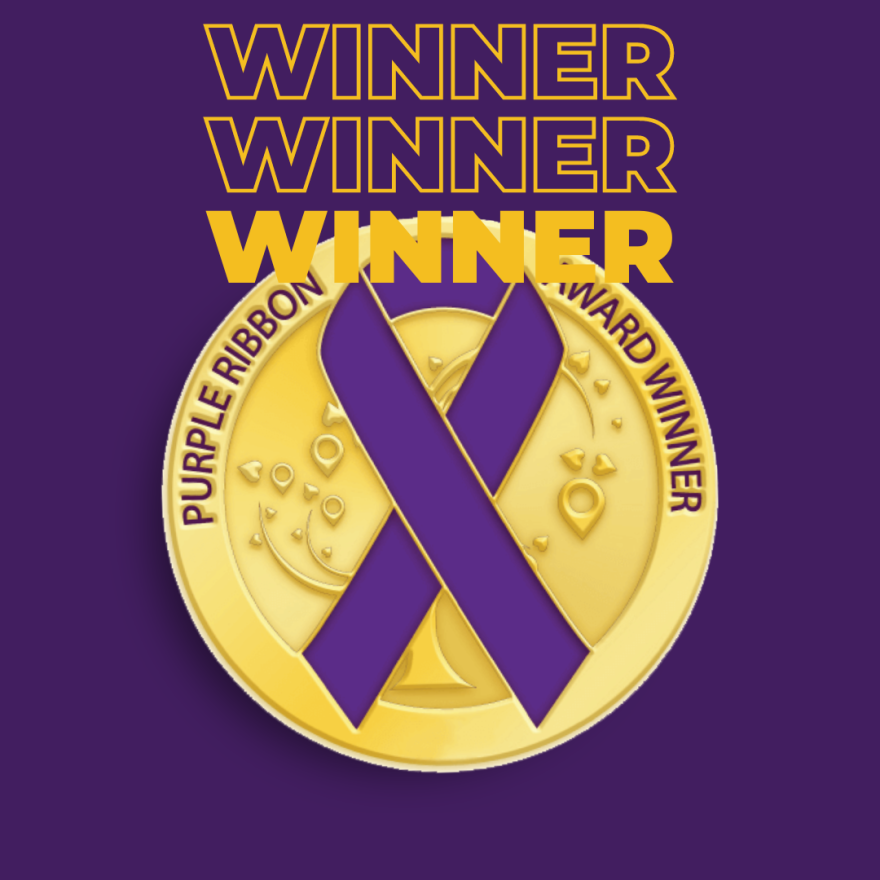 DomesticShelters.org Award Posts.png