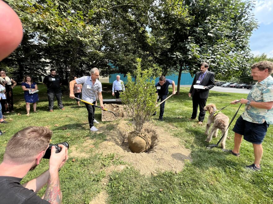 Martin tree planting.jpg