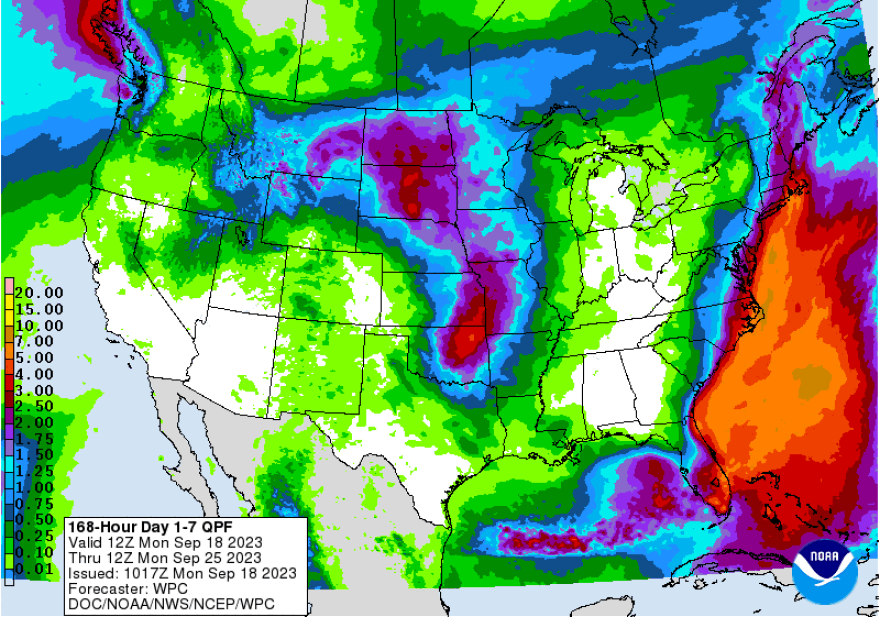 7 day QPF