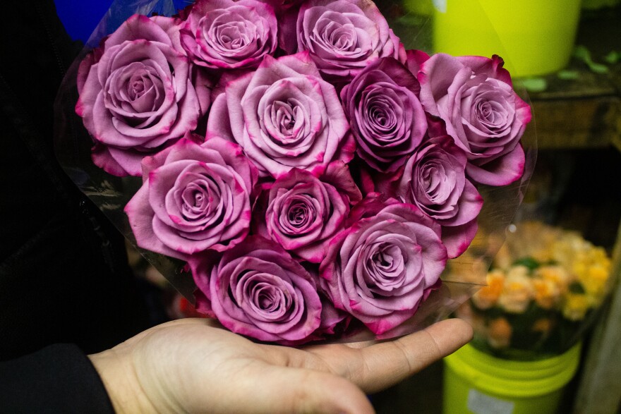 Roses in Jonathan Morrissey's hand