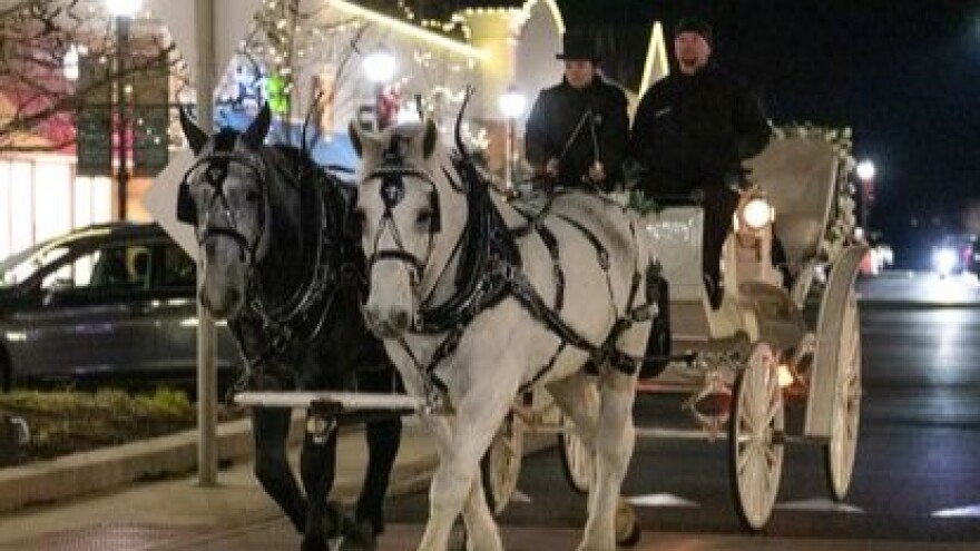 A Christmas tradition for families or couples Meet the horses of