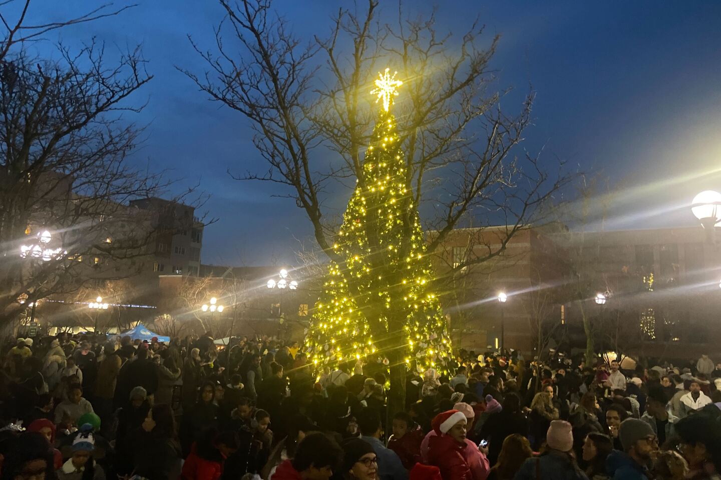 Allentown Tree Lighting