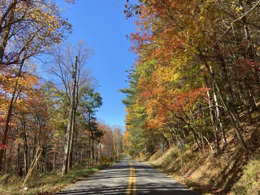 Lower Smith Gap Road