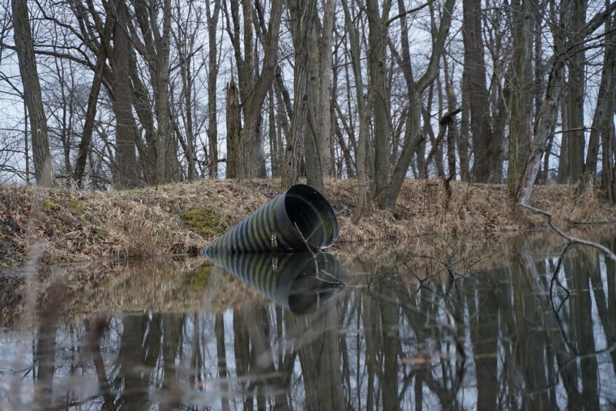  Lee Hostetter said he found two dead fish in the culvert of a pond behind his house, since the derailment. That's unusual, he said, but many more fish have survived.