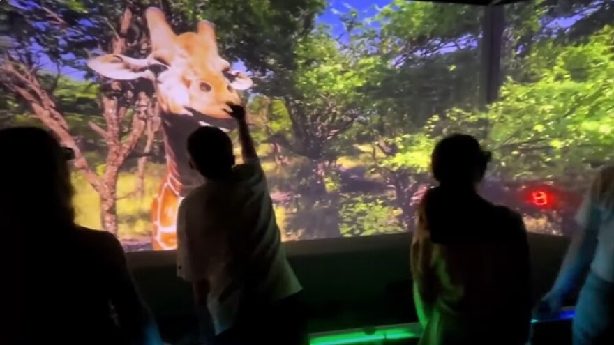 hologramzoo_edited.jpg