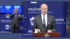Gov wolf